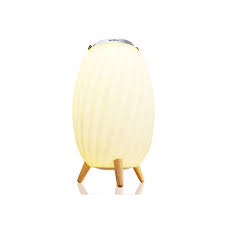 Loa đèn di động SoundMax AL22