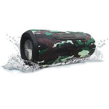 Loa di động SoundMax R-800